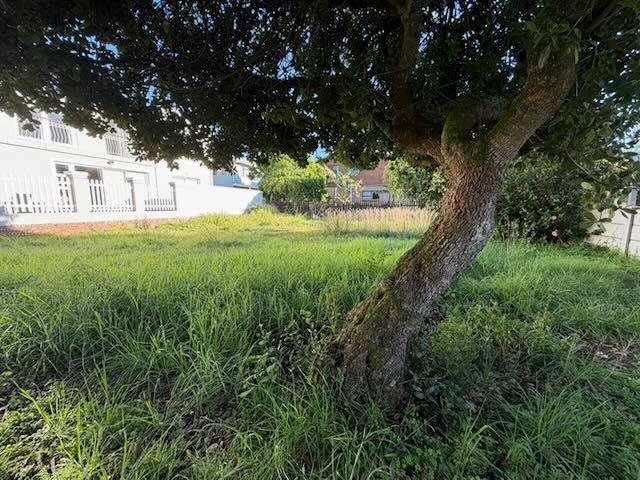 0 Bedroom Property for Sale in Tergniet Western Cape